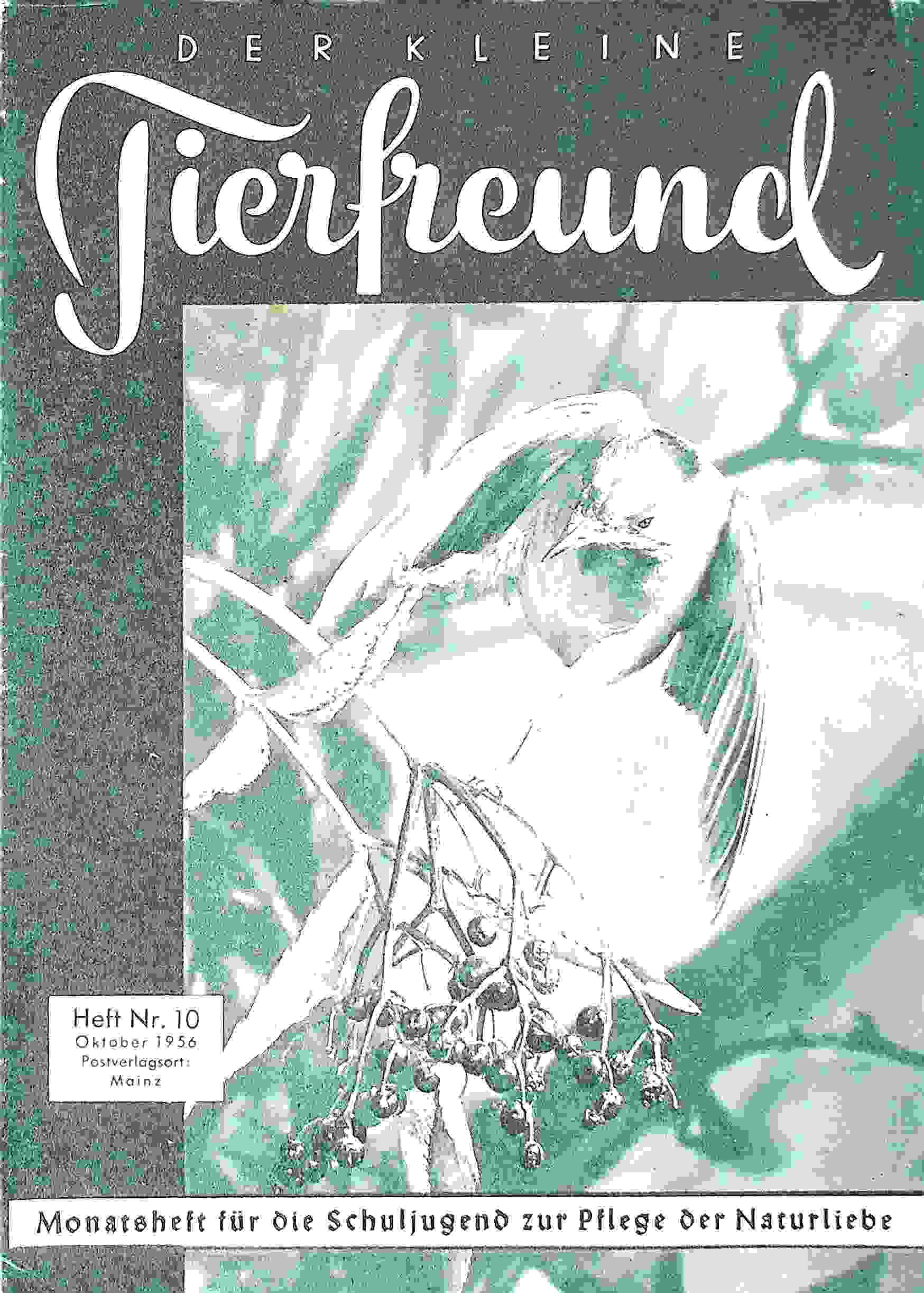 Der kleine Tierfreund 10/1956
